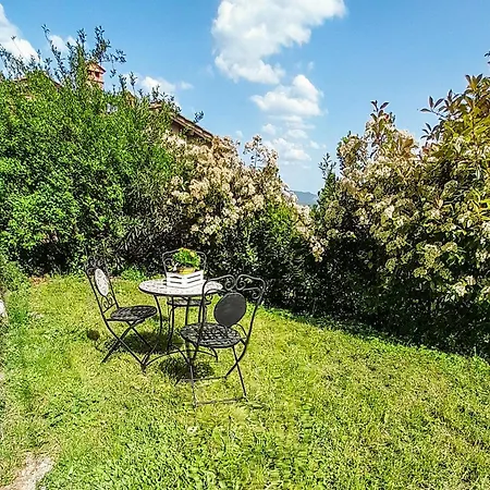 Apartment Vivi Palagio Nel Cuore Del Chianti Classico *