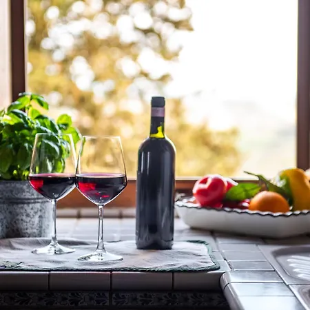 Vivi Palagio Nel Cuore Del Chianti Classico Lejlighed Aiola